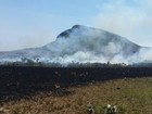 Incêndio no Parque da Chapada dos Veadeiros é apagado, em Goiás