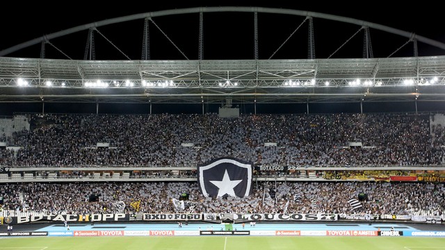 Resultado de imagem para botafogo