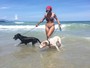 Vanessa Mesquita leva cachorros à praia de Ubatuba e corpo é hit ... - Globo.com