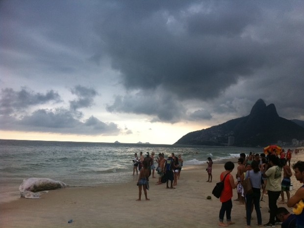 Curiosos tiraram foto de baleia encalhada na Praia de Ipanema, na Zona Sul do Rio (Foto: Guilherme Brito/G1)