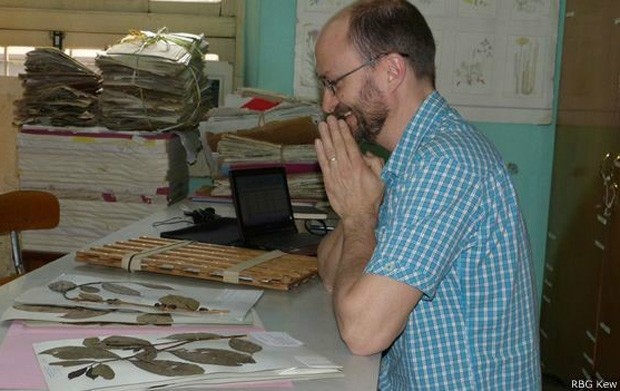 Aaron Davis, do instituto de pesquisa Kew: ele busca impedir a extinção do café arábica  (Foto: RBG KEW/BBC)