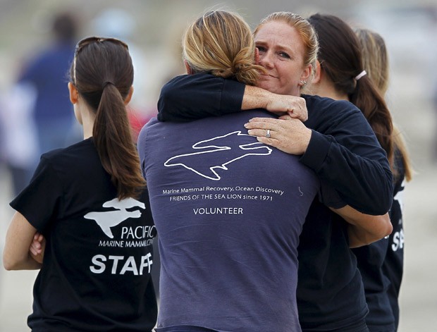  Membro da equipe do Centro de Mamíferos Marinhos do Pacífico abraça voluntário após libertação de leões-marinhos  (Foto: Reuters/Mike Blake)