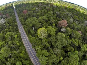 Pesquisadores Percorrem A Mata Atlantica E Analisam Danos Ao Bioma Natureza G1