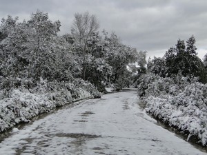Neve pode cair novamente em Santa Catarina (Foto: Elcio Glovacki/Arquivo Pessoal) Neve pode cair novamente em Santa Catarina (Foto: Elcio Glovacki/Arquivo Pessoal)