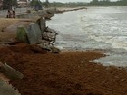 Praia amanhece coberta por algas (Hiris Santos / Rádio Tropical Marudá)