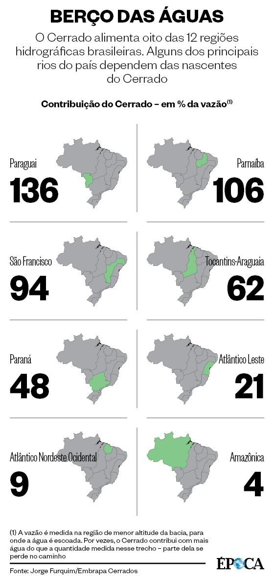 BERÇO DAS ÁGUAS O Cerrado alimenta oito das 12 regiões hidrográficas brasileiras. Alguns dos principais rios do país dependem das nascentes do Cerrado (Foto: Fonte:  Jorge Furquim/Embrapa Cerrados)