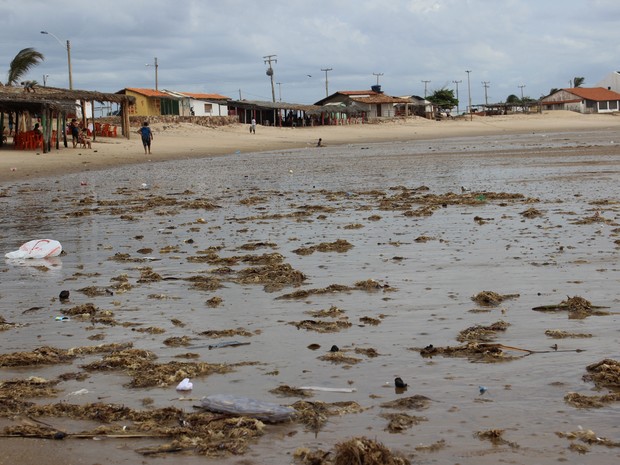 Embalagem de ovos de codorna, sacolas plásticas podem ser vistos pela praia (Foto: Patrícia Andrade/G1)