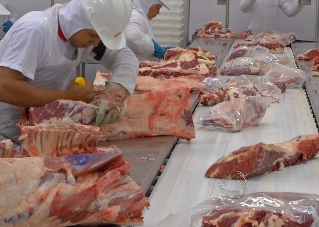 Carne bovina mato-grossense deve continuar competitiva no mercado internacional (Foto: Reprodução/TVCA)