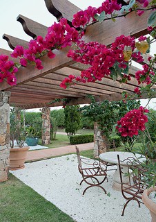 Para seguir o mesmo estilo provençal adotado no jardim, o paisagista Gilberto Elkis abusou de materiais naturais na construção do pergolado cheio de flores