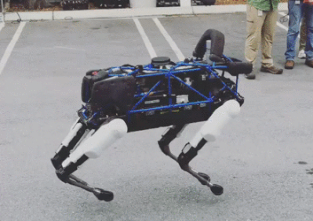 Robô Spot, da Google, consegue dançar e mantém equilíbrio (Foto: Reprodução/Instagram/kraneland)