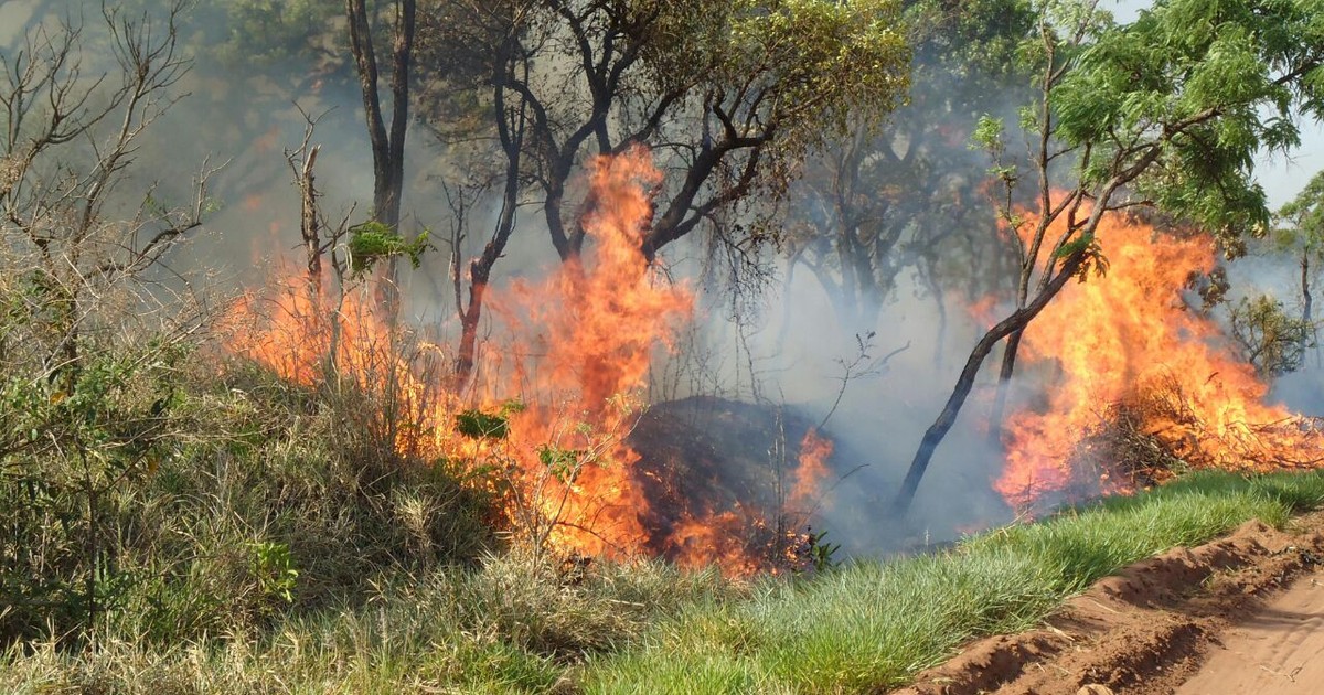 G1 Alto índice De Queimadas Na Zona Da Mata E Vertentes Preocupa Notícias Em Zona Da Mata 