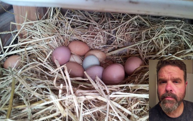 Gerald Leuschen oferece recompensa para tentar recuperar galinhas poedeiras de 'Ovos de Páscoa' (Foto: Reprodução/Facebook/Gerald Leuschen)