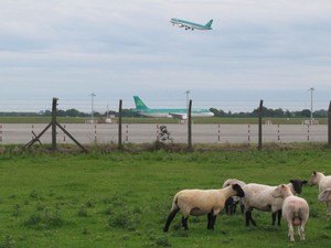 Aer Lingus (Foto: AP)