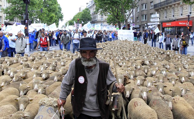 Agricultor francês leva rebanho de ovelhas a manifestação por melhores condições de negócios rurais na França, neste domingo (23) (Foto: Reuters/Gonzalo Fuentes)