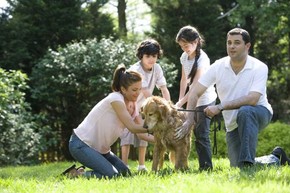  Manter os animais limpos é uma das dicas para evitar realção alérgica, segundo a Asthma UK  (Foto: CDC/ Dawn Arlotta)