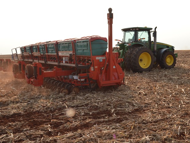 MS deve ampliar em 2,44% a área cultivada com soja na temporada 2016/2017 frente a anterior (Foto: Anderson Viegas/G1 MS)