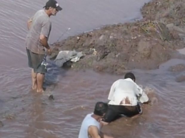 G1 Moradores pegam peixes em meio à lama após chuva em Ourinhos SP