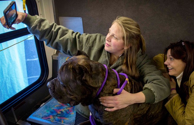 Elizabeth Salewsky tira selfie com seu cão de estimação em evento canino em NY (Foto: Brendan McDermid/Reuters)