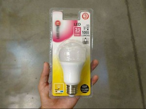 lâmpada led (Foto: Divulgação)