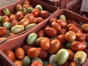 Queda no preço do tomate foi o mais significativo (Foto: Reprodução/TV Mirante)