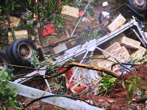 Caminhão transportava galinhas vivas  (Foto: Décio Pandolfi/Rádio Belos Montes)