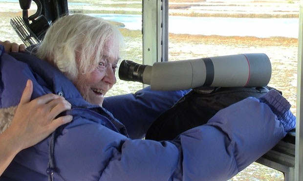 Elsa Bailey, de 100 anos, observa ursos polares  (Foto: Divulgação/Natural Habitat Adventures)