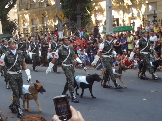 Cães treinados também desfilaram na avenida. (Foto: Ingo Muller/ G1)