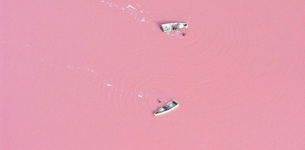 O LAGO FICA COR DE ROSA POR CONTA DA DUNALIELLA SALINA (Foto: Reprodução) O LAGO FICA COR DE ROSA POR CONTA DA DUNALIELLA SALINA (Foto: Reprodução)
