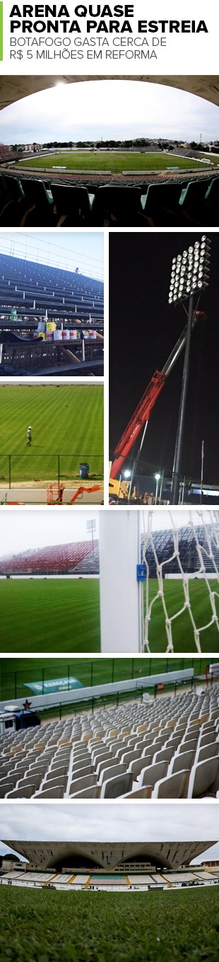 Mosaico Arena Botafogo (Foto: Divulgação e SSPress)