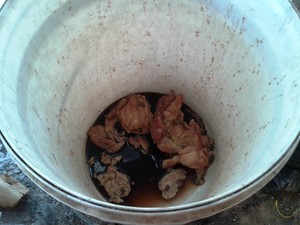 Carne que seria consumida nas refeições ficava armazenada em balde (Foto: Michelly Oda / G1)