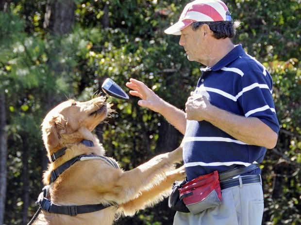 Presidente da organizao, Rick Kaplan, treina ces em partida de golfe.  (Foto: AP Photo/The Sun News, Charles Slate)
