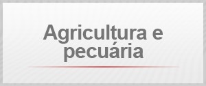 Agricultura e pecuaria (Foto: G1)