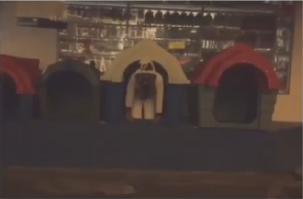 Bruna Marquezine (Foto: Reprodução/ Instagram)