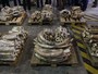 Após notícia, Vaticano nega incentivo ao uso de marfim em peças sagradas
