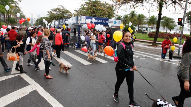 Pessoas desfilam com seus cães durante a Cãominhada (Foto: José Luiz Borges)