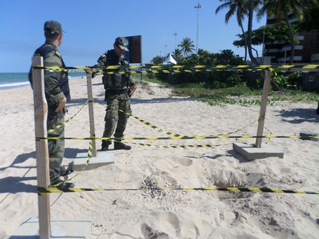 Secretaria de Meio Ambiente informou que a desova ocorreu em 11 de fevereiro (Foto: SMAS/Divulgação)