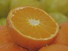 Pesquisadores transformam bagaço e casca da laranja em farinha citrus
