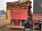 PRF apreende cerca de 150 m³ de madeira ilegal no sudeste do Pará