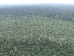 Reserva em Machadinho D&#39;Oeste, RO (Foto: Reprodução/Rede Amazônica)