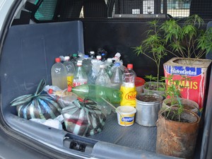 Bebidas, pés de maconha e pequenas quantidades de pasta base de cocaína (Foto: Emily Costa/ G1 RR)