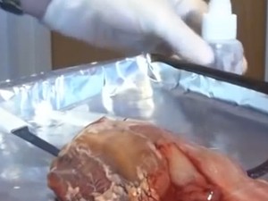 Vídeo mostra gel anti-hemorrágico instantâneo em tecido animal; inovação estará no TED Global no Rio (Foto: Reprodução / YouTube)