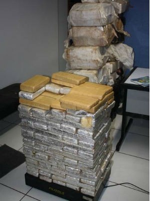 Maconha totalizou 769 quilos, segundo a polícia  (Foto: Divulgação / PM )