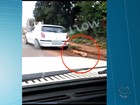 Cachorro é arrastado com corda amarrada em carro em MS; veja vídeo