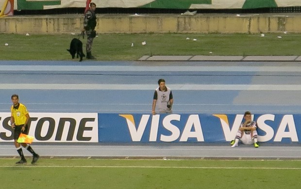 Rafael Sobis acompanhando o jogo na beira do gramado, Fluminense x Grêmio (Foto: Edgard Maciel de Sá)