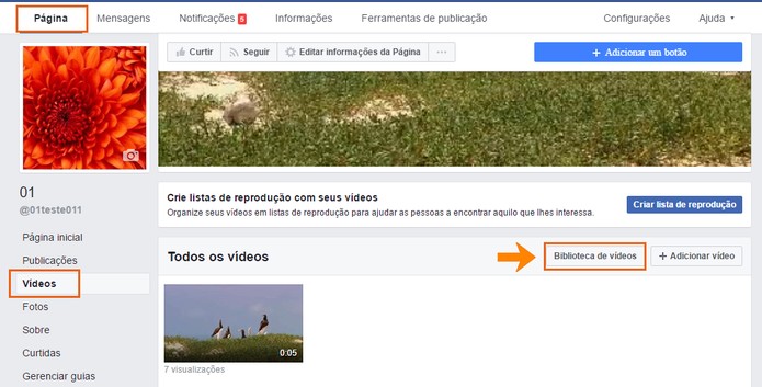 Encontre a categoria de Biblioteca de Vídeos na sua página do Facebook (Foto: Reprodução/Barbara Mannara)