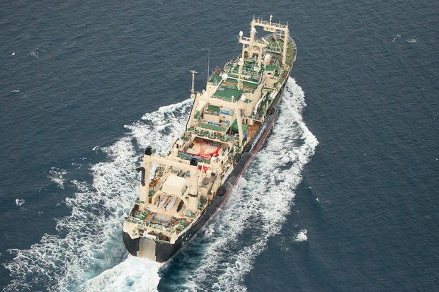 O navio japonês Nisshin Maru, em imagem aérea feita pelo braço australiano da ONG Sea Shepherd (Foto: Tim Watters/Sea Shepherd/AFP)