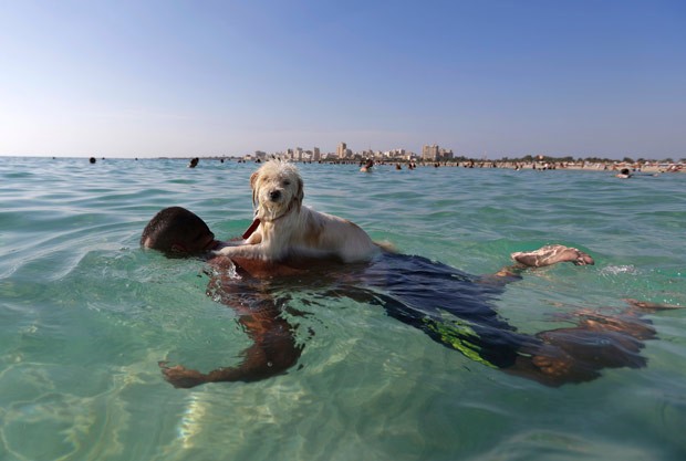 Cão passeou nas costas de seu dono enquanto homem nadava em praia libanesa (Foto: Hassan Ammar/AP)