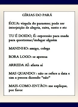 Qual o sotaque, jeito de falar, palavras/gírias usadas que você