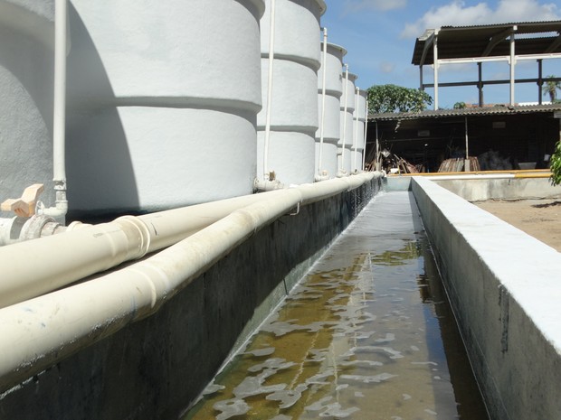 Água sai limpa dos tanques após o processo de decantação (Foto: Paula Cavalcante / G1 Caruaru) Água sai limpa dos tanques após o processo de decantação (Foto: Paula Cavalcante / G1 Caruaru)