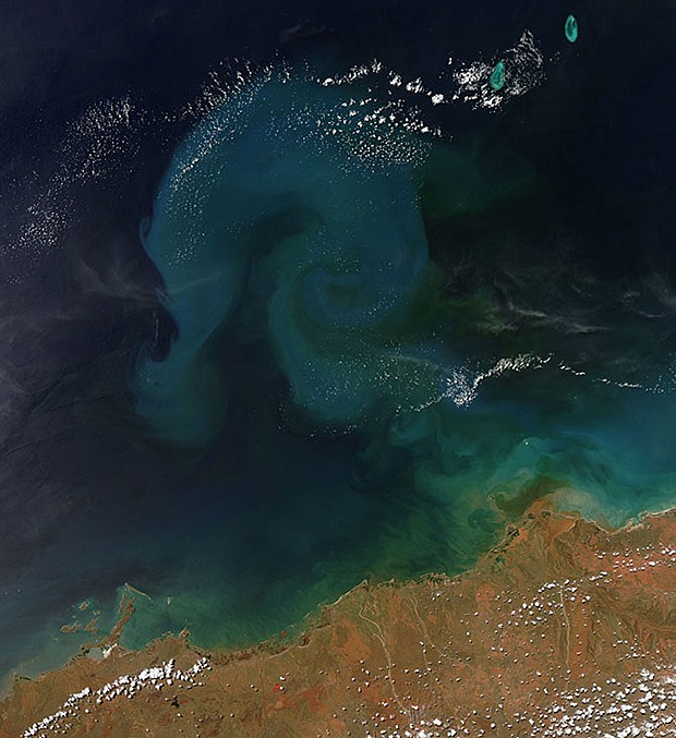 Ciclone Rusty retirou sedimentos do fundo do Oceano Índico, que formaram redemoinho (Foto:  Nasa Goddard MODIS Rapid Response Team Text/Rob Gutro/Nasa